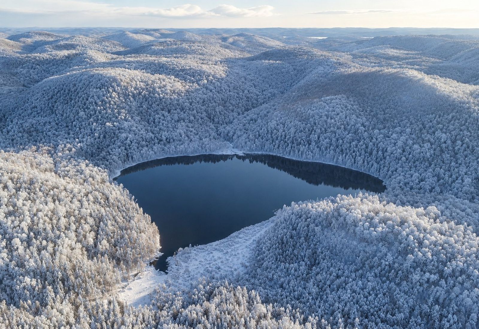Vue aérienne du lac et de la forêt sous la neige
